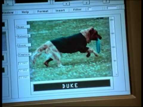 Film enfants - un toutou à la rescousse