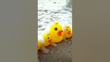 RUBBER DUCKY #rubberducky #oceanwaves  #rubberducks