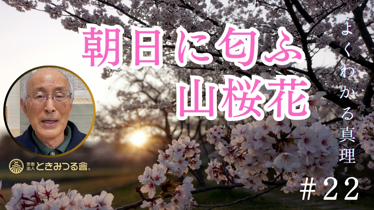 【朝日に匂ふ 山桜花】第二十二回　よくわかる真理