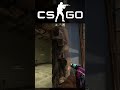 Охота на добычу #csgo #csgoshorts #ксго #cs2 #кс2 #shorts