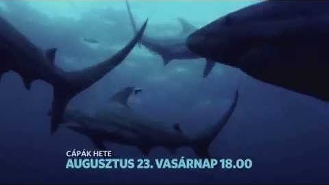 CÁPÁK HETE A NATGEO WILDON!