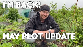 May plot update  it’s been a while! #allotmentlife #growsomefood ##naturehome #allotment #growveg