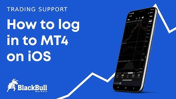 How to log in to your MT4 account on iOS - Trading support