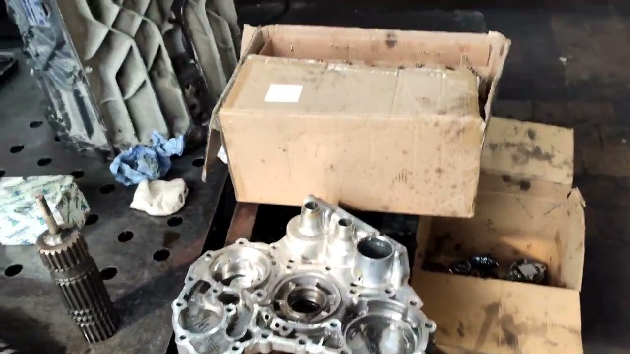 DAF  Traxon zf 12 tx 2210 td обзор, диффектовка 