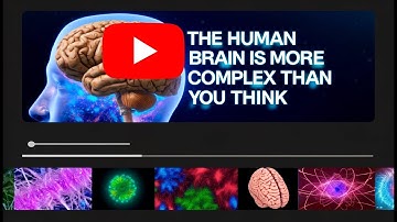 The Mind-Blowing Complexity of the Human Brain Revealed