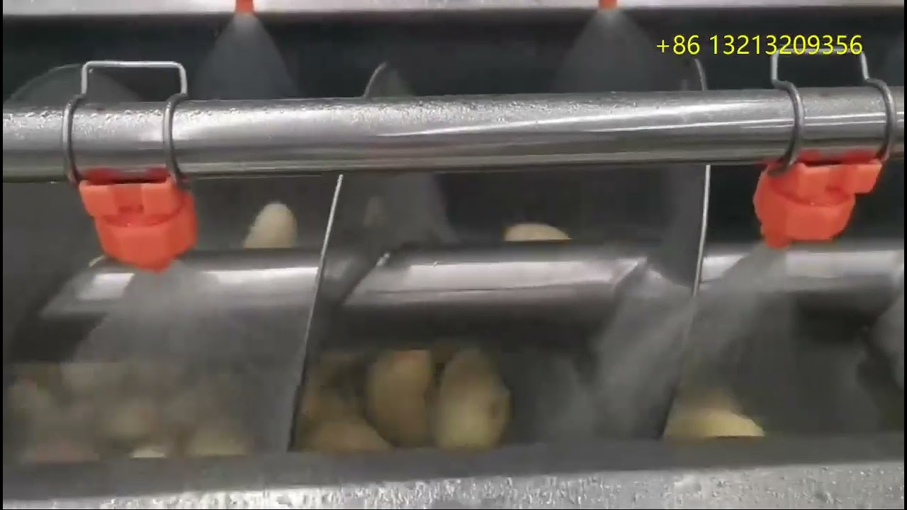 Screw type potato peeling machine, automatic discharging,