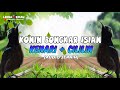 Masteran Konin Isian Kenari Cililin Audio Jernih Mp3 - Mp4 Download