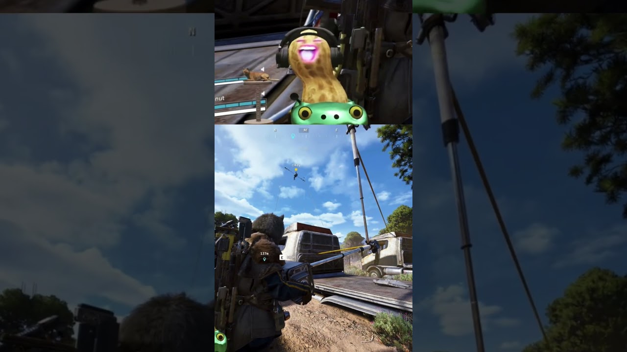 Peanut finds a glitch 