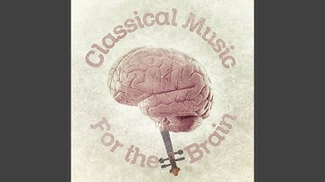 Quartet in D Minor, Op. 76, No. 2, "Fifths": II. Andante o più tosto allegretto