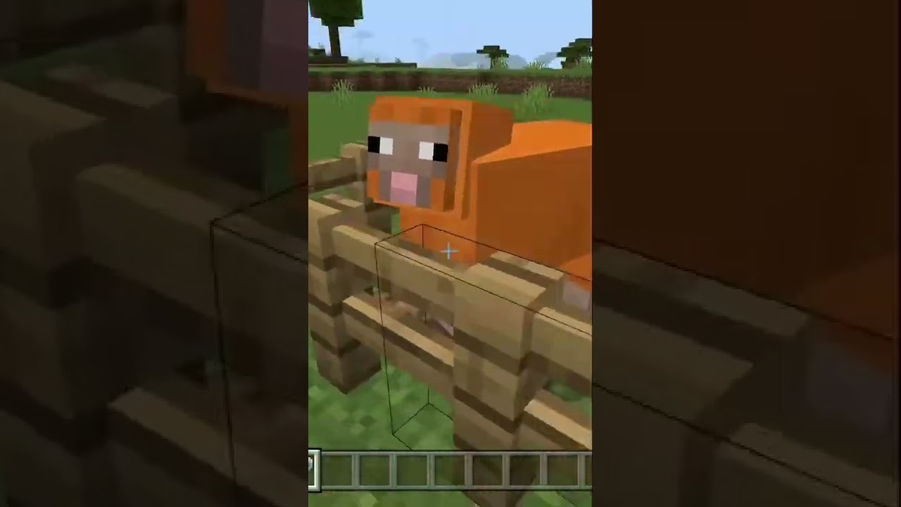 HOW TO GET A RAINBOW SHEEP IN MINECRAFT!