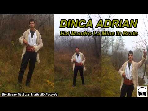 Dinca Adrian - Hai mandro la mine in brate