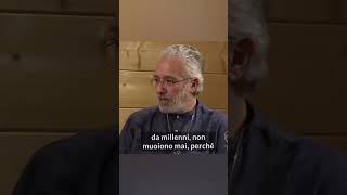 Giorgio Bongiovanni - .