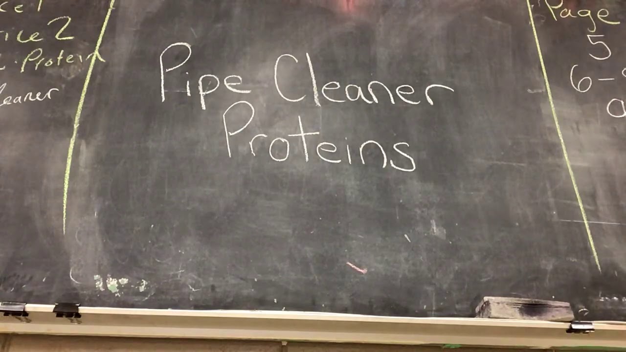 Pipe Cleaner Proteins YouTube