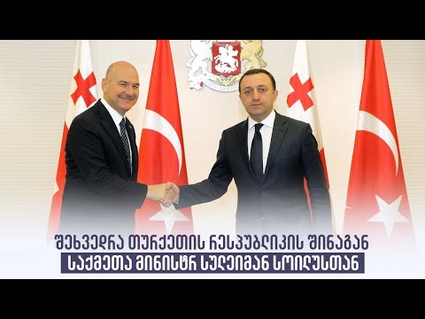 შეხვედრა თურქეთის რესპუბლიკის შინაგან საქმეთა მინისტრ სულეიმან სოილუსთან