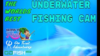 The Best Underwater Fishing Camera | GOFISH CAM underwater video camera.