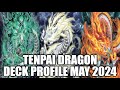 Tenpai dragon deck profile may 2024 yugioh