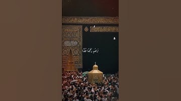 سورة الفتح | محمد رسول الله والذين معه أشداء على الكفار رحماء بينهم | بصوت جميل
