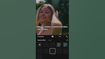 Why Dynamic Captions are Vital for Improving Your YouTube Content