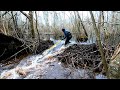 Revisiting 10 Beaver Dams + Tearing Out The Mother Beaver Dam Again! Part! 1|| More New Gear!!