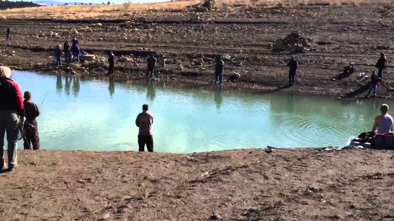 Salmon Run at Heron Lake YouTube