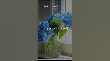 #قران_كريم #ماتيسر من سورة القصص #صلاح_بوخاطر