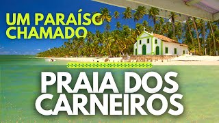 😮Praia dos Carneiros 2024 - Já ficou entre as 10 mais bonitas do Mundo e a 2ª mais bonita do Brasil