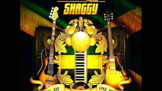 Shaggy - Like Never Before (feat. Cocoa Tea & Joe)