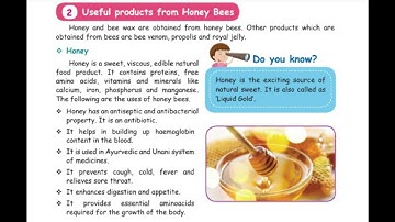 Class 5/TNB/Science/Term 3/Ch 1/Session 33