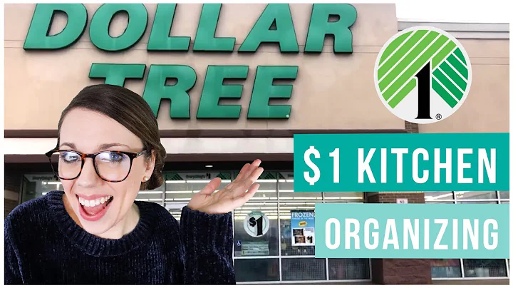 DOLLAR TREE BUDGET KITCHEN ORGANIZATION