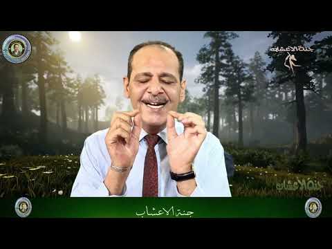 فوائد نبات الشيح مــع خـبـيـر الاعشاب حسن خليفه 