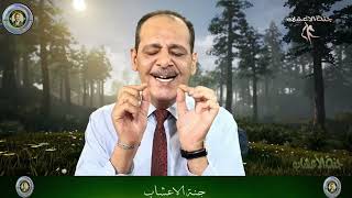 فوائد نبات الشيح مــع خـبـيـر الاعشاب حسن خليفه