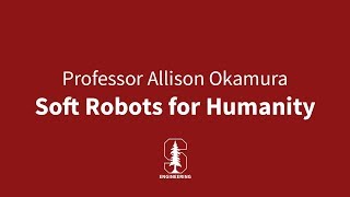 Soft Robots for Humanity