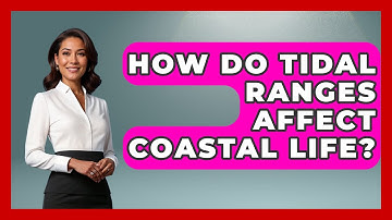 How Do Tidal Ranges Affect Coastal Life? - Weather Watchdog