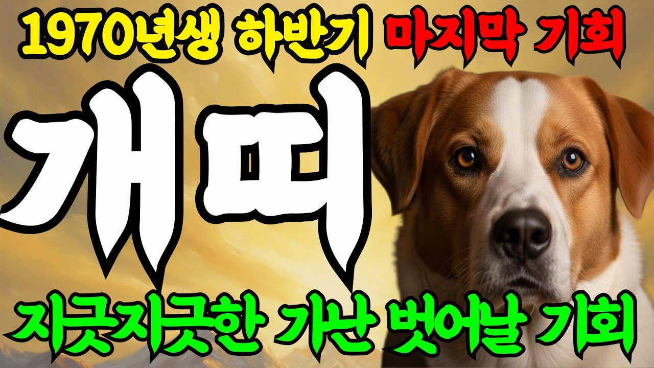 개띠 미쳤다! 2025년 1970년 56세 경술생 개띠 인생 말년운세! 배신 당했던 인생 반전의 기회온다!!