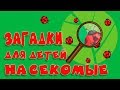 ЗАГАДКИ для ДЕТЕЙ НАСЕКОМЫЕ