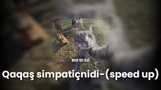 Qaqaş simpatiçnidi (SPEED UP)