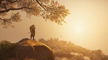 Ghost of Tsushima NinjaWarrior Combat Gameplay Montage Lethal/Lethal+ Part 5