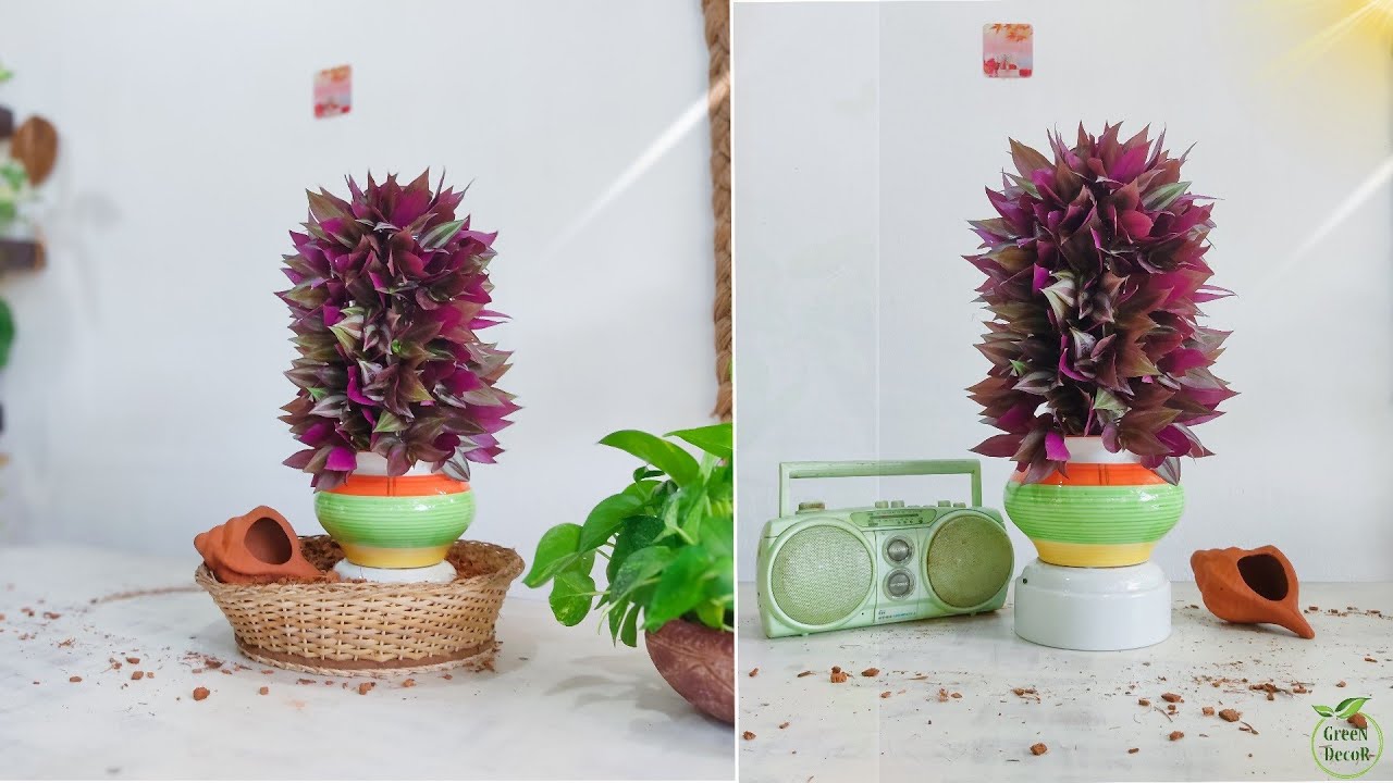 Office Inch Plant Decor Ideas for Green Working Environment Best Desk