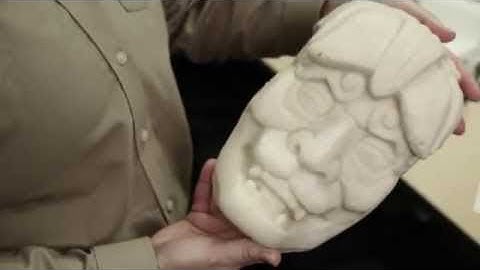 University of South Florida