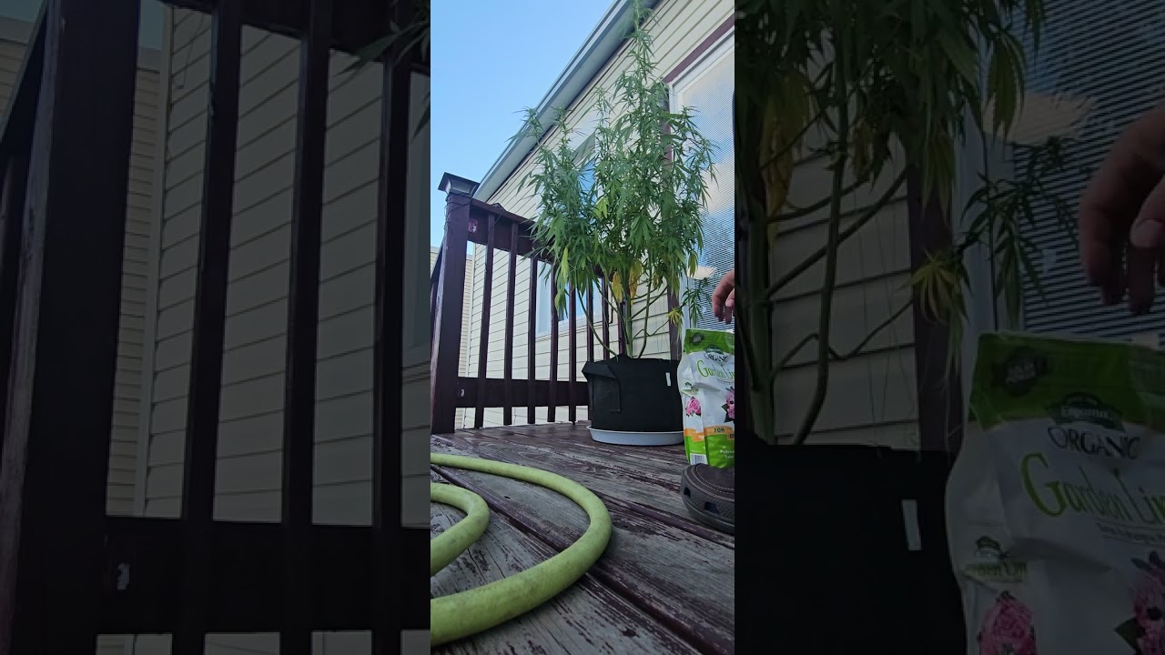 Calcium and Magnesium 