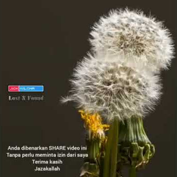Story wa lagu bunga