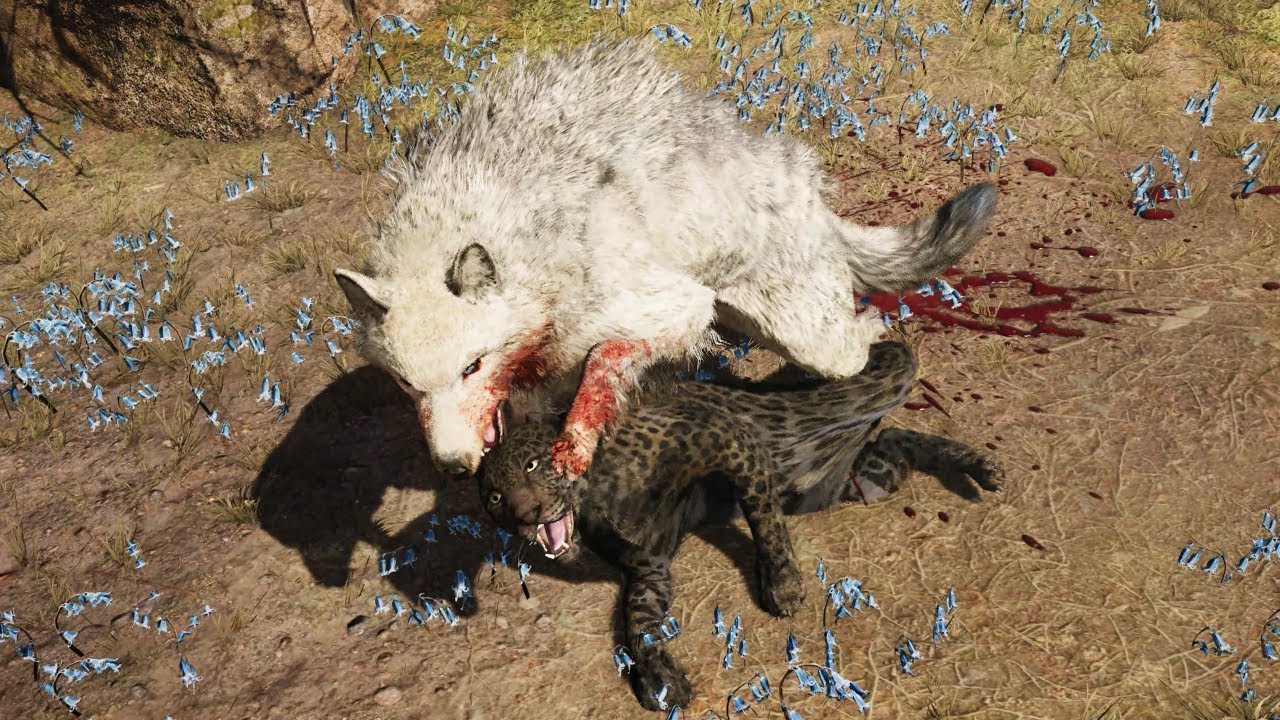 Hunt Legendary Snowblood Wolf With All Beasts - Far Cry Primal [4K 60 FPS Max Settings]