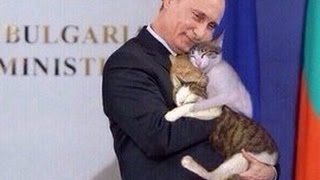 Коты на саммите G20. Cats on G20 summit Коты на саммите G20. Cats on G20 summit