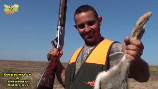 Pheasant Hunting in Bulgaria Wol 1