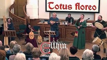 𝕰𝖑𝖙𝖍𝖎𝖓 - Tempus est iocundum (Carmina Burana) | LIVE