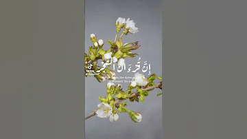 Tilwat E Quran المصحف تلاوت قرآن قرآن اكسبلور 