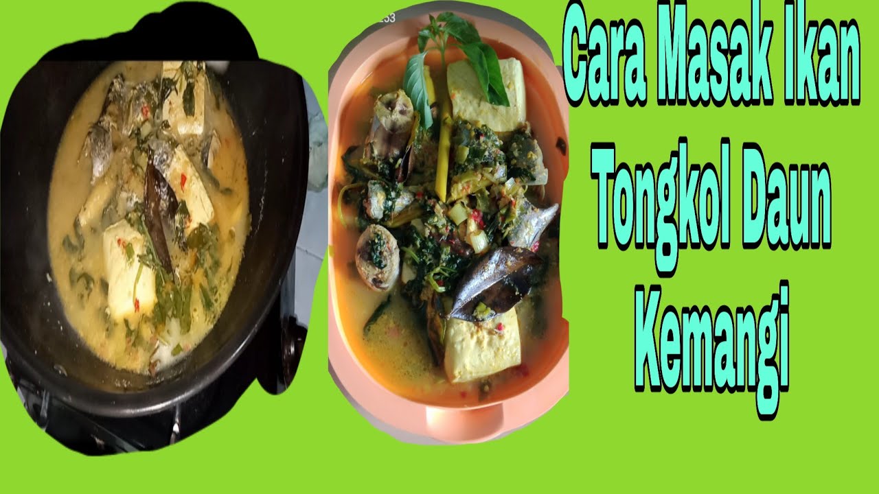 CARA MEMASAK IKAN TONGKOL DAUN KEMANGI - YouTube