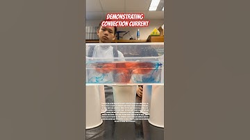 Heat Transfer and Convection Current  #learning #trending #convection #science #experiment