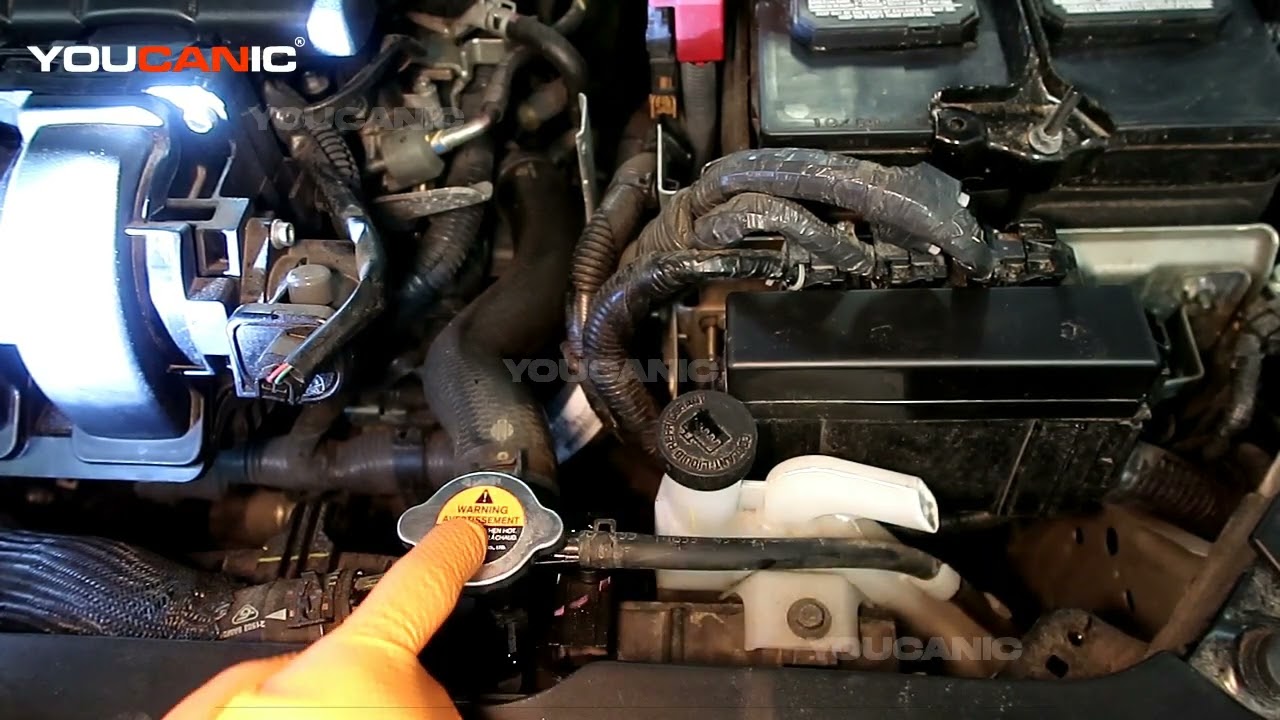 2013–2019 Nissan Sentra How To Check Level \U0026 Add Engine Coolant Antifreeze Engine Overheating