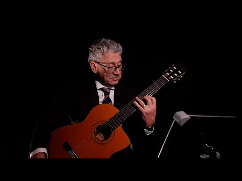 Türk Marşı (Rondo Alla Turca - Mozart) 🇹🇷 - Paul Dwyer